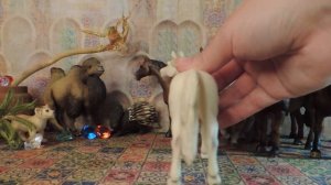 Обзор коллекции. А- аппалуза и арабские лошади(Schleich, Collecta, Papo, Safari Ltd).Паддоки.