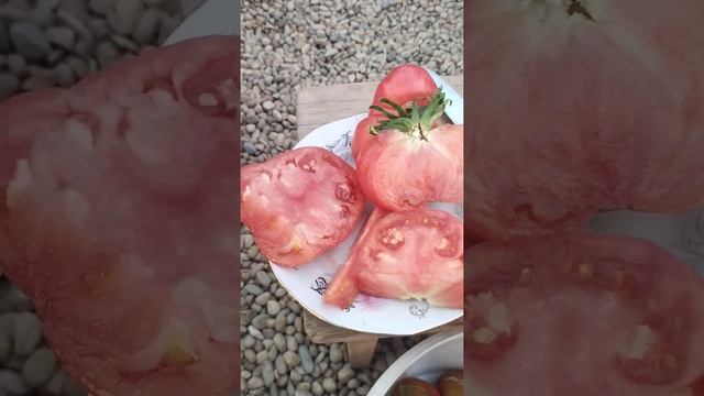 Обзор сорта томата Малиновка Башкирская.Нужно ли удалять махровый цветок. смотреть онлайн