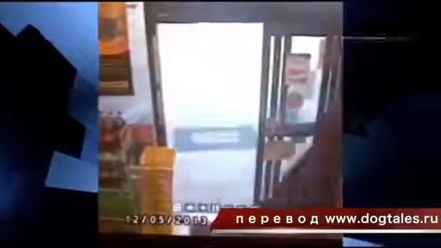 Милый воришка смотреть онлайн