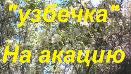 Пчелопакет_Узбечка_ 26.04.Ч-2Тестируем.Пчела Александра Даг ОПФ к взятку мёда с Белой акации. смотреть онлайн