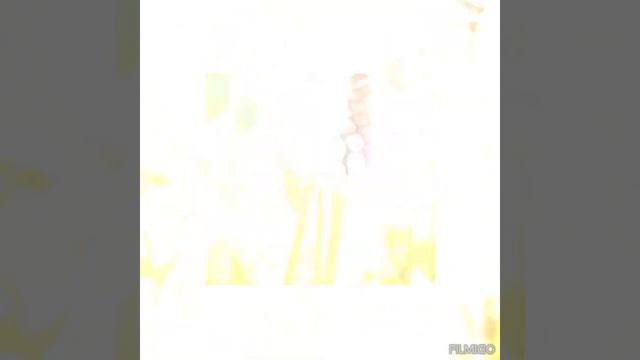 опять хочу Вам показать красоту весенних цветов! это же так прекрасно!!! смотреть онлайн