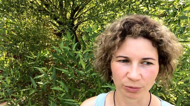 Отличие холо-коррекции от психологического консультирования