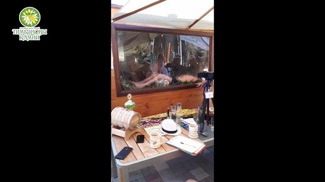 Выступление Нестерова С. на Чемпионате "Кубок Здравы" смотреть онлайн
