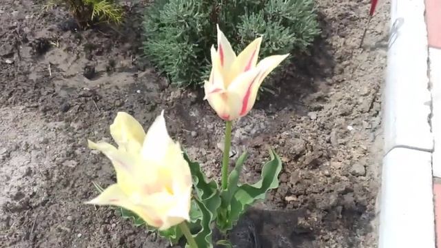 СтройНастольгия