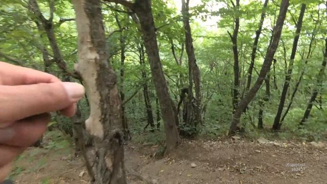 обнаружен лаз в секретные лабиринты горы Бештау. grotte mystérieuse смотреть онлайн