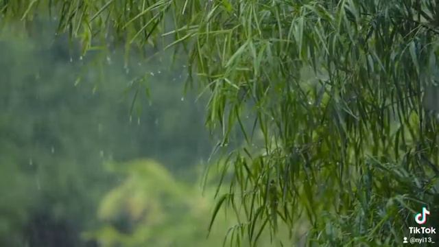 Попрошу у неба я. смотреть онлайн