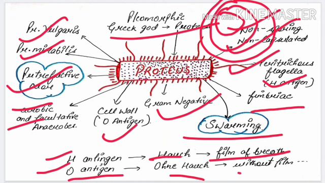 Proteus --- Microbiology Lecture
