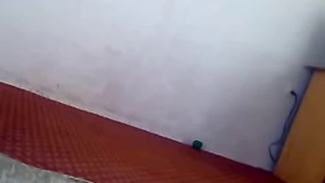 Pashto local video смотреть онлайн