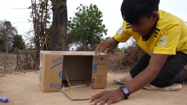 Bird Trap With Single Door Closed Using Card Board Box смотреть онлайн