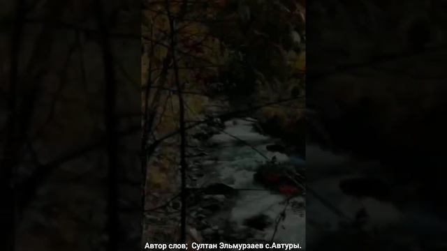 Автор слов; Султан Эльмурзаев с.Автуры. ЧР. Самдоху замано, 23.09.2023г. смотреть онлайн