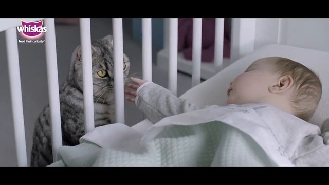 Whiskas AD