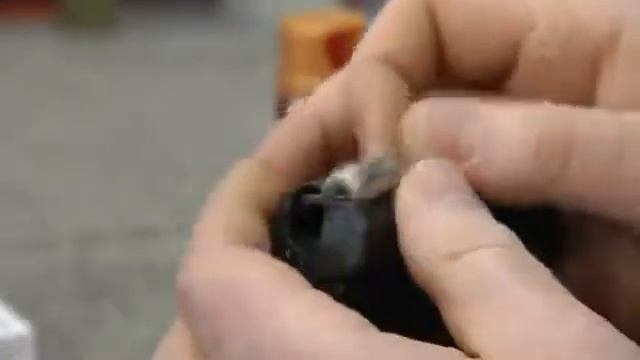 Сюжет о компании на «Первом» канале смотреть онлайн