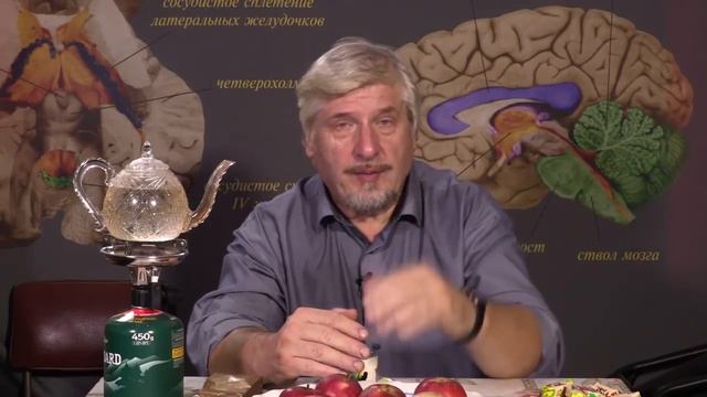 С. Савельев Кто главный в мозге смотреть онлайн