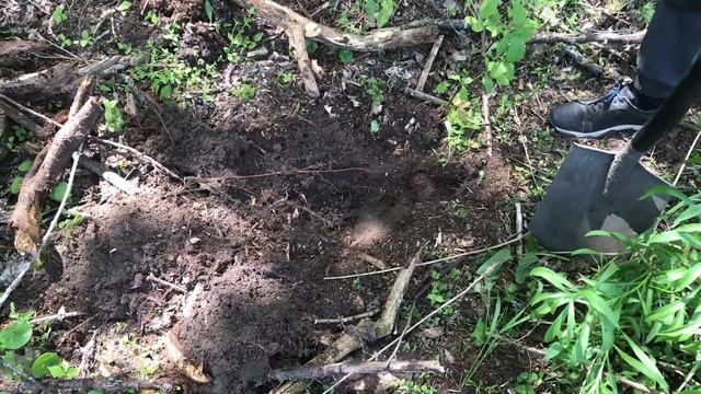 [+18] Масонские пятаки на старой дороге + Полтинник Николая | Коп в лесу с XP Deus смотреть онлайн