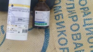 Когда и чем глистагонить  птицу. Дозировка лекарства для голубей.