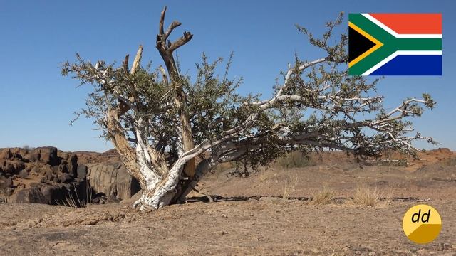 SOUTH AFRICA 2020 - AUGRABIES FALLS #südafrika #reise #augrabies смотреть онлайн