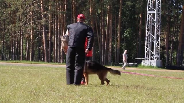 ПК Заречный. 11.06.2017. ОТЛ 3 СС IST ALFA LEONI S смотреть онлайн