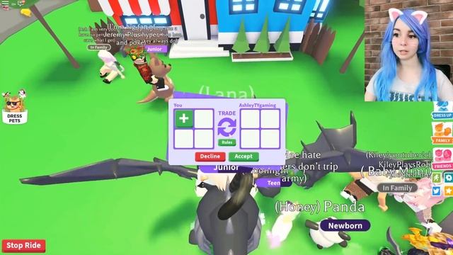 НОВЫЕ ВЕЩИ ДЛЯ ПИТОМЦЕВ в адопт ми roblox смотреть онлайн