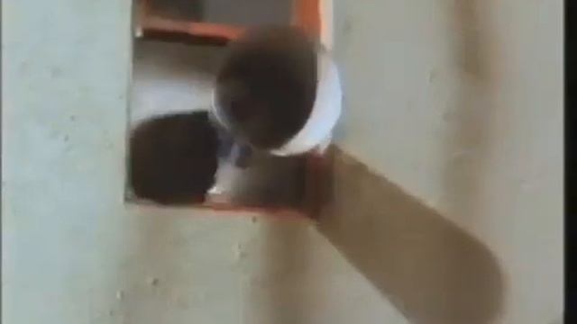 Ok boomer x 3000 (1 hour of Ok boomer) смотреть онлайн