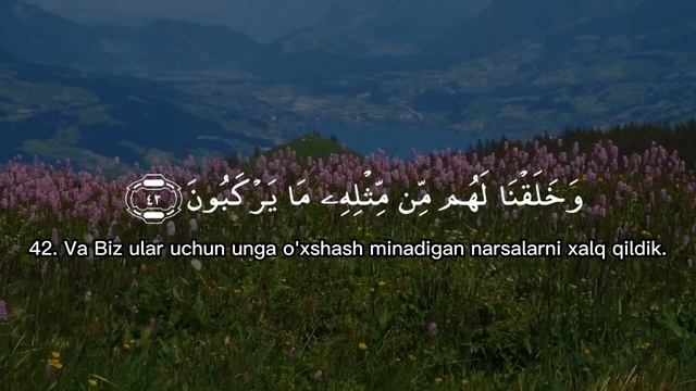 Yasin surasi (Ясин) Shayx Mishary Rashid Alafasy #yasin #quran смотреть онлайн