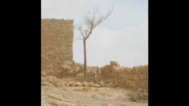 Orit Perlman - Eli Zion | אורית פרלמן - אלי ציון смотреть онлайн
