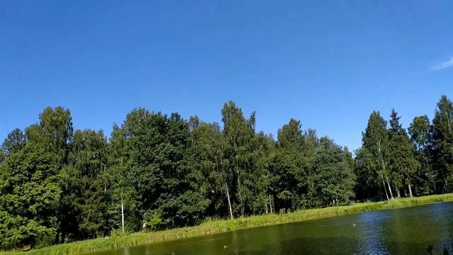 Полли из Нидерландов о своей жизни и мужчинах. смотреть онлайн
