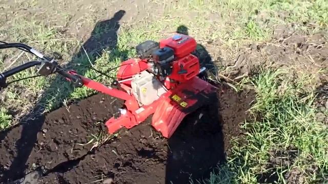 Мотоблок ДДЕ Халк смотреть онлайн