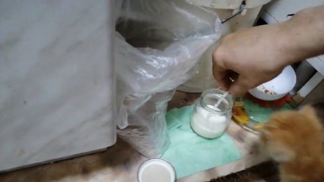 Котенок пьет с трубочки молоко смотреть онлайн