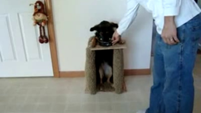 Есть надо за столом! смотреть онлайн