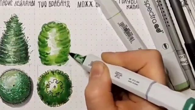 Урок 13. Рисуем тую Брабанд. Серия: Шпаргалка хвойных кустарников. Ландшафтный скетчинг. #sketching смотреть онлайн