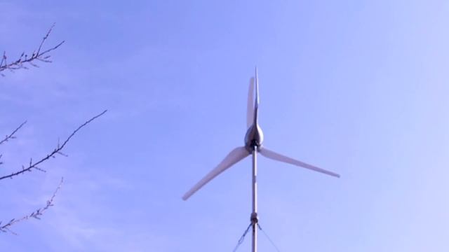 Защита чибиса в ураган смотреть онлайн