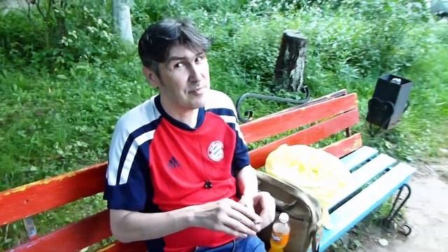 Лесные грибы: путь к природной гармонии