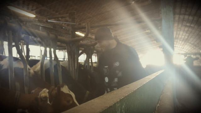 ZAROBITKY (пісня заробітчанина). BLUES SONG. смотреть онлайн
