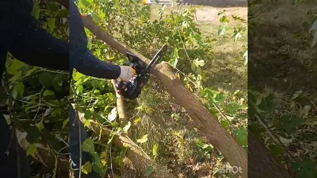 Блестящая уборка