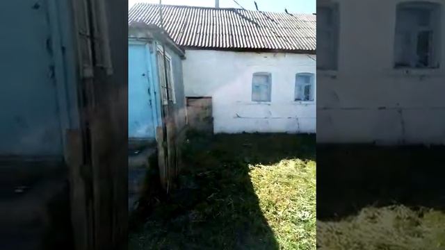 Продажа участка с домом смотреть онлайн