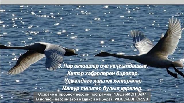 Пар аккошлар (Лебединая пара) смотреть онлайн
