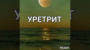 ?Уретрит. Матрица Гаряева .