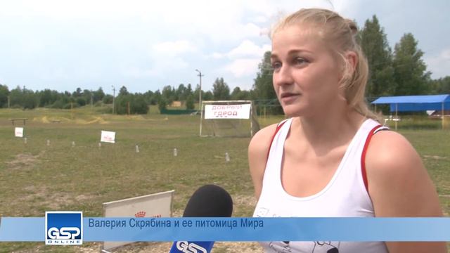 Лабрадоры vs Хаски и ризеншнауцеры | 3 июля’16 | 12:00 смотреть онлайн