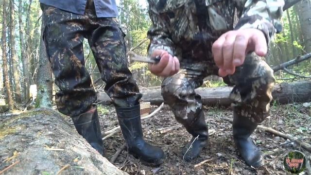 Первые весенние грибы - сморчки/Осторожно клещи/Первые весенние витамины в лесу смотреть онлайн