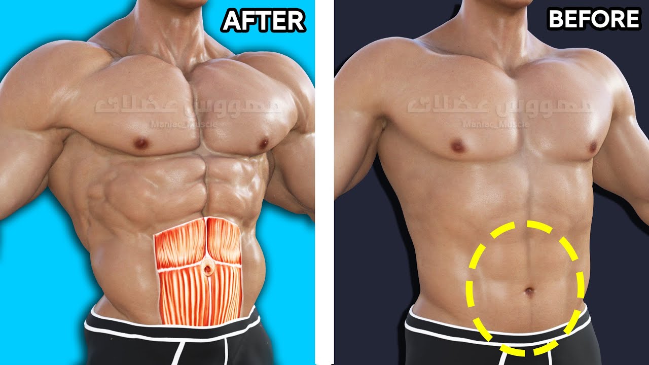 How To Build Your Lower Abs Workout (8 Effective Exercises) смотреть онлайн