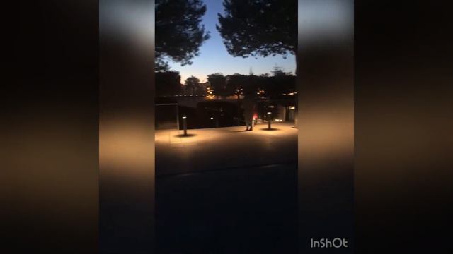 Парк Галицкого декабрь 2020. Новые украшения в парке Галицкого