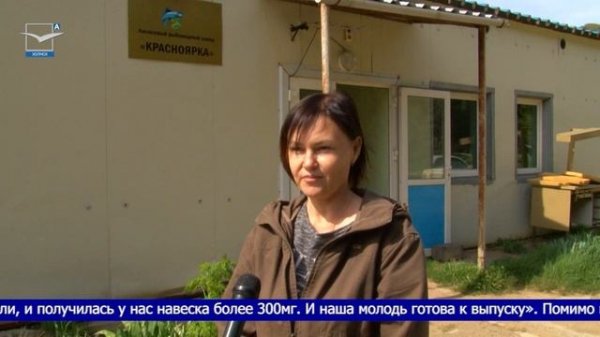 Искусственное воспроизводство лососевых.