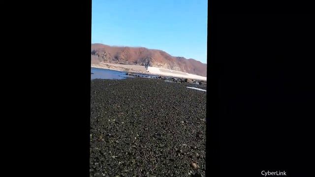 Бурея. смотреть онлайн