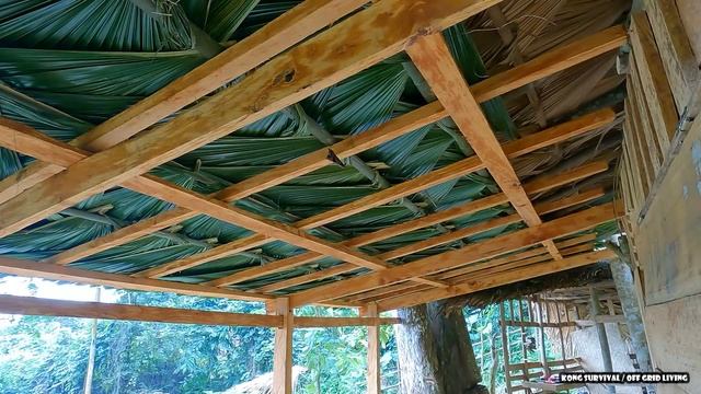 The Garden after 230 days of care, weeding, fertilizing - Continue to upgrade CABIN - Off Grid смотреть онлайн
