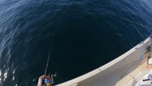Chris n Zac Tog Limit, 11/21/20 смотреть онлайн