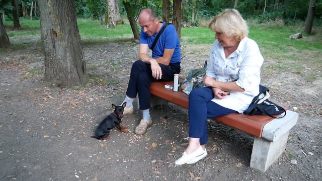 ВЛОГ ЭРИХОВИЧА 39-85: Волшебство у лесного озера смотреть онлайн