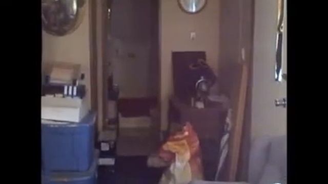 Crappy way to start your day смотреть онлайн