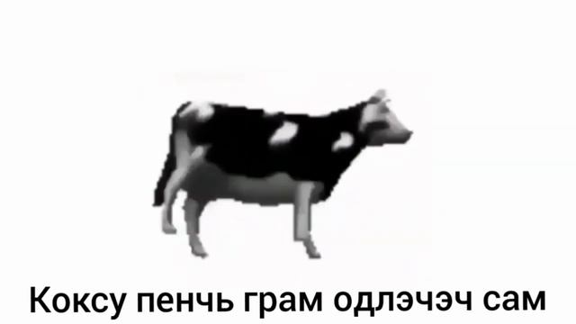 Польская корова - танцует под музыку №61 смотреть онлайн
