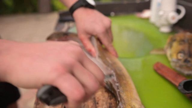 Как разделать судака на филе быстро и правильно.Лучший способ смотреть онлайн