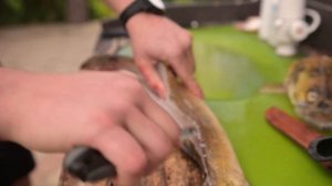 Как разделать судака на филе быстро и правильно.Лучший способ